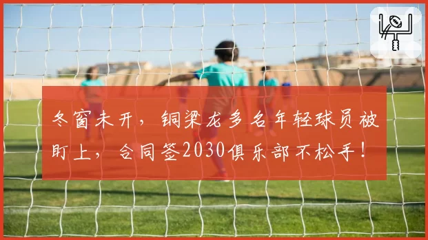 冬窗未开，铜梁龙多名年轻球员被盯上，合同签2030俱乐部不松手！