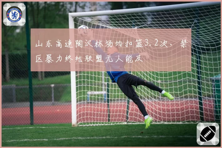 山东高速陶汉林场均扣篮3.2次，禁区暴力终结联盟无人能及