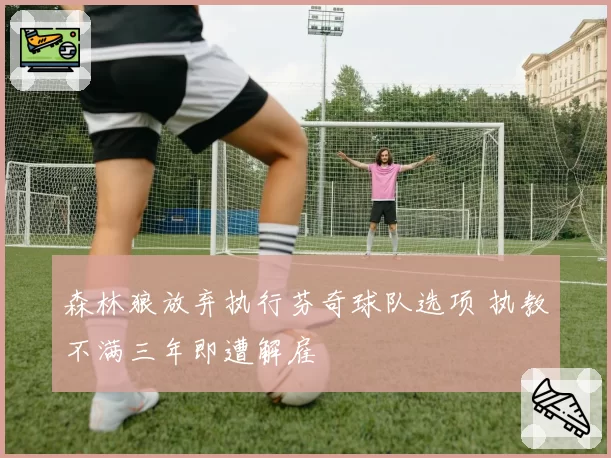 森林狼放弃执行芬奇球队选项 执教不满三年即遭解雇