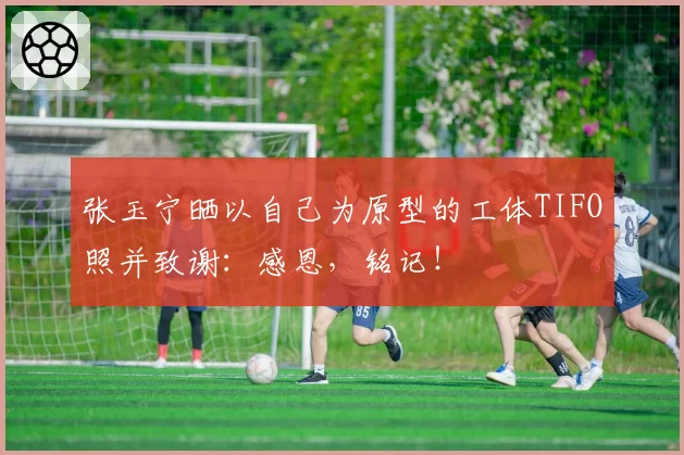 张玉宁晒以自己为原型的工体TIFO照并致谢：感恩，铭记！